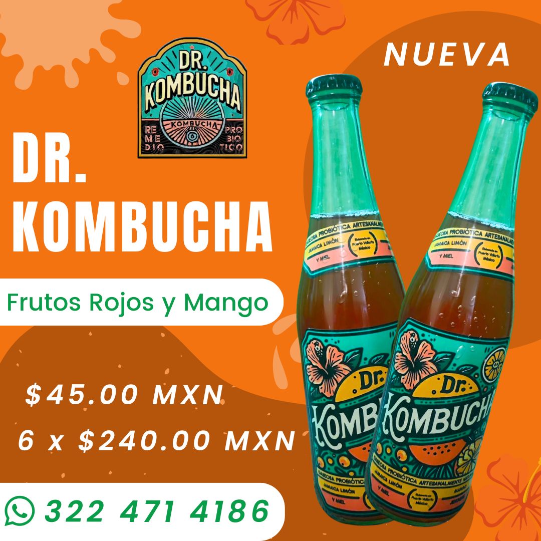 dr kombucha foto 2