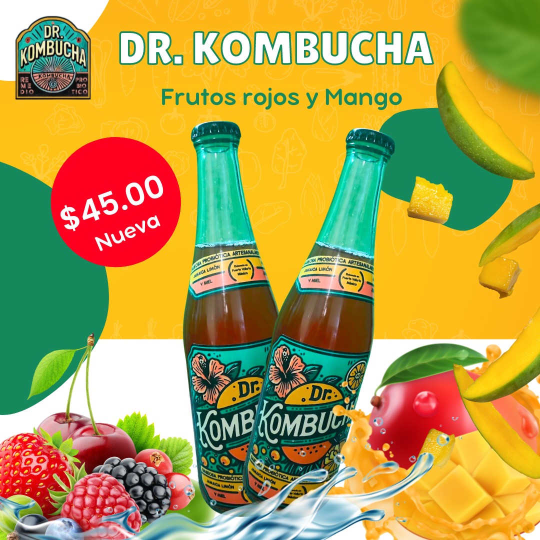 dr kombucha foto 3