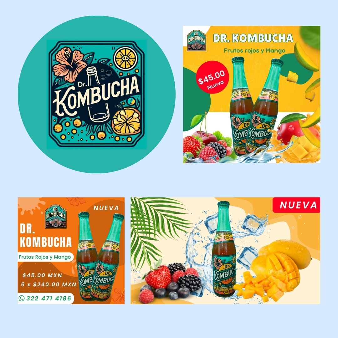 dr kombucha